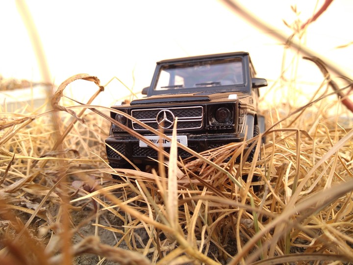 Scale Model