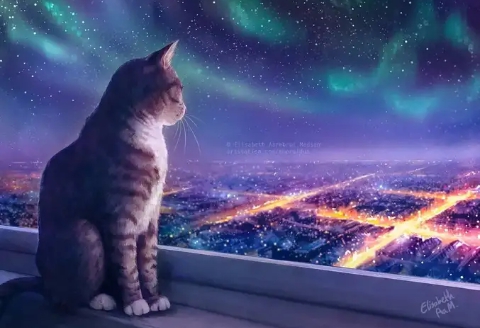 ночь))