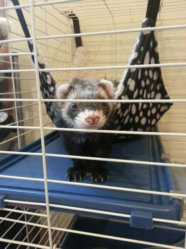 Please let me out...