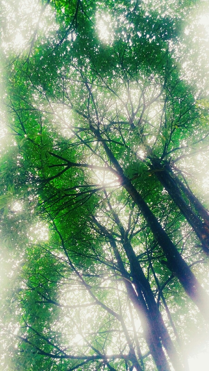 Rays of hope