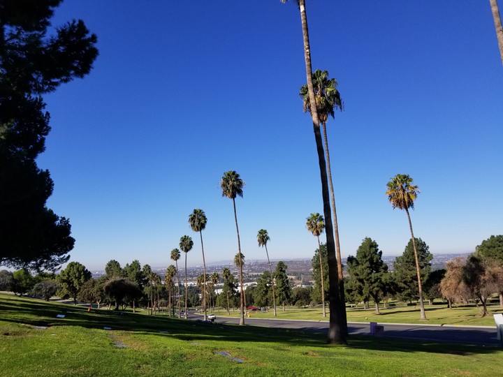 California