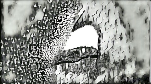 Abstract