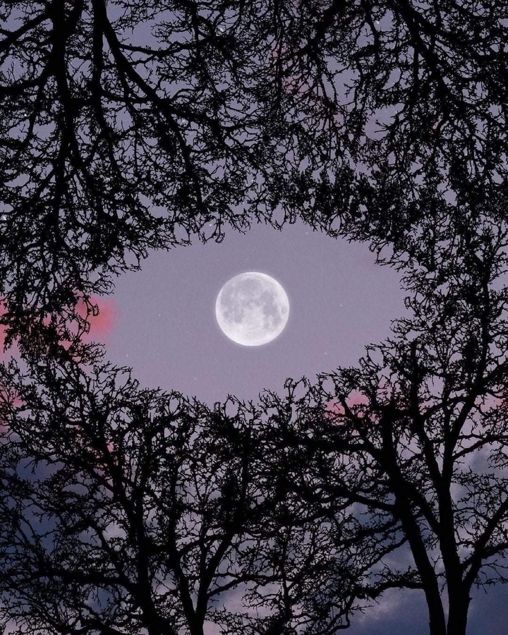 moon