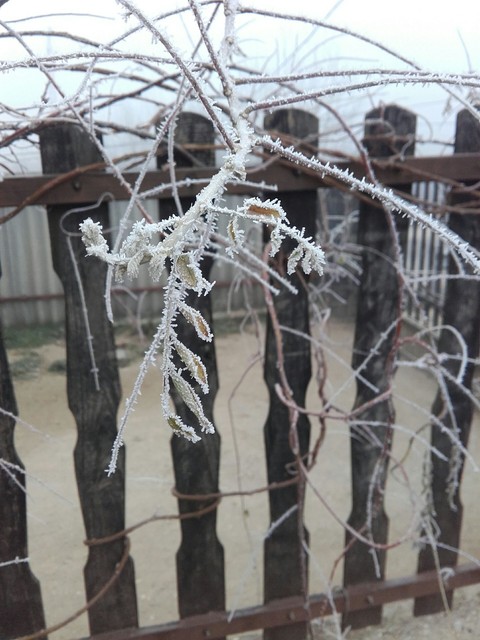 sfondi snow, iron