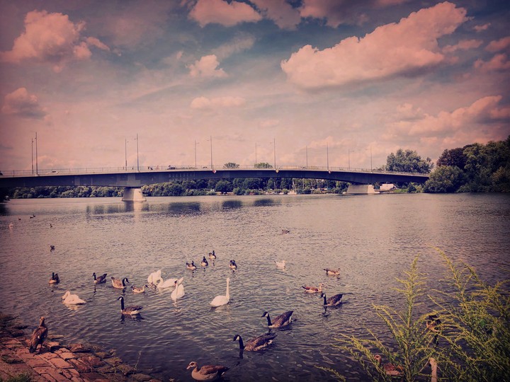 Bridge