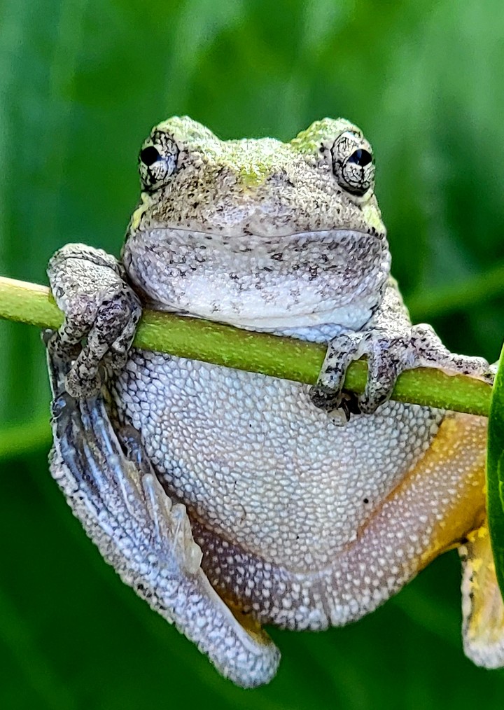 .