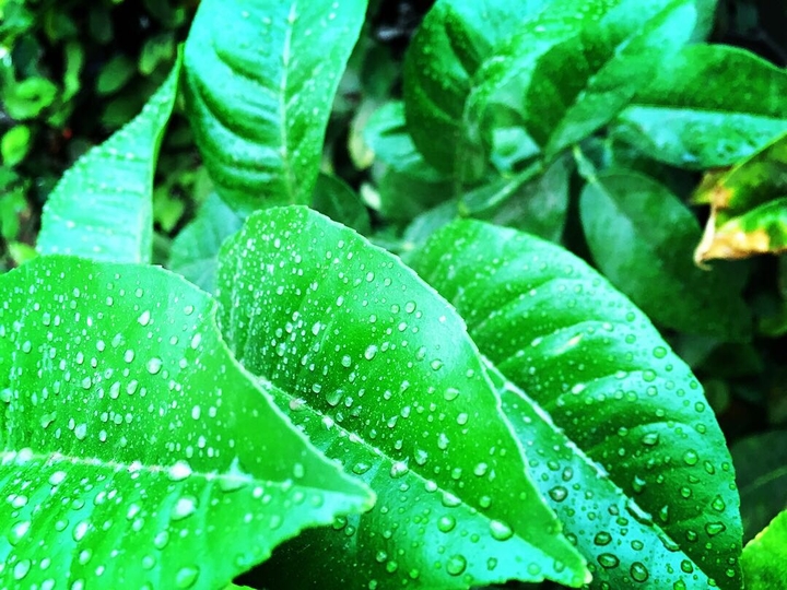 Rainy day