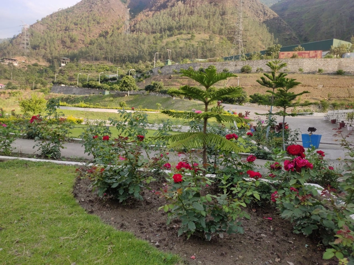beauty of nature