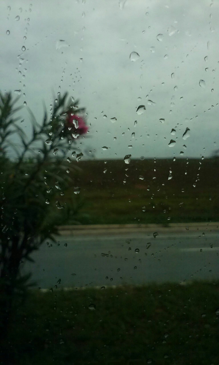 Rain ☔