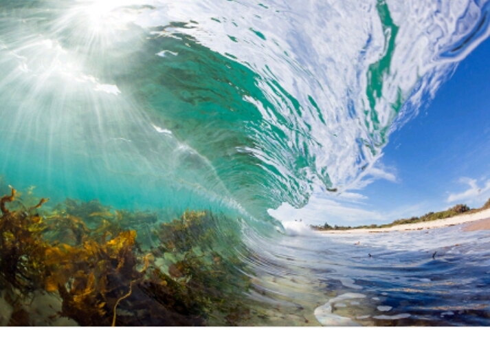 nise sea