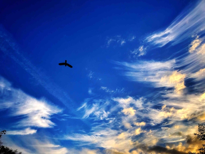 Blue Sky