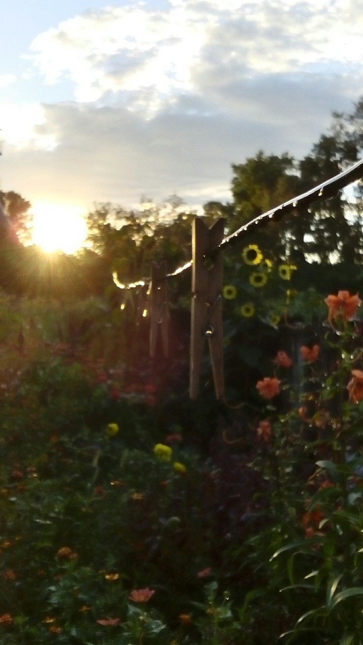 After a rain!