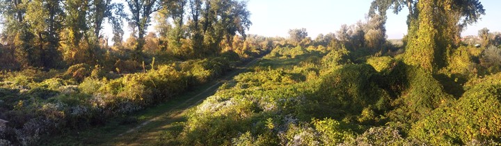 Causeway, Serbia