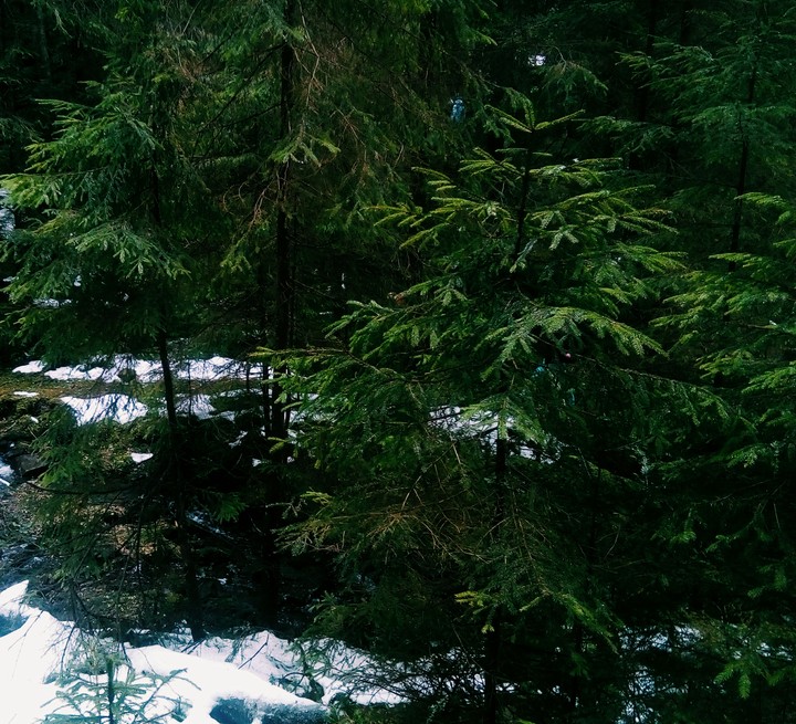 Nature is my love..