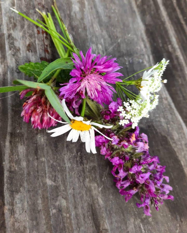 wildflowers