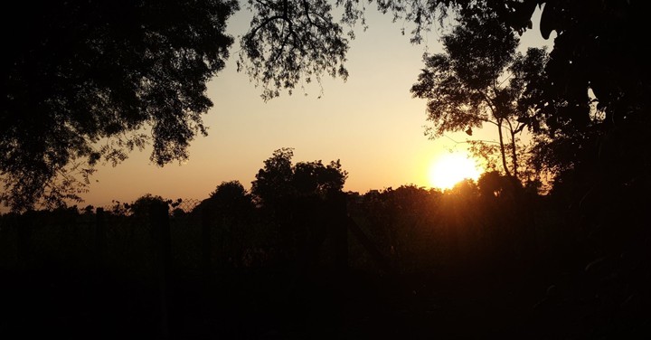 natural view