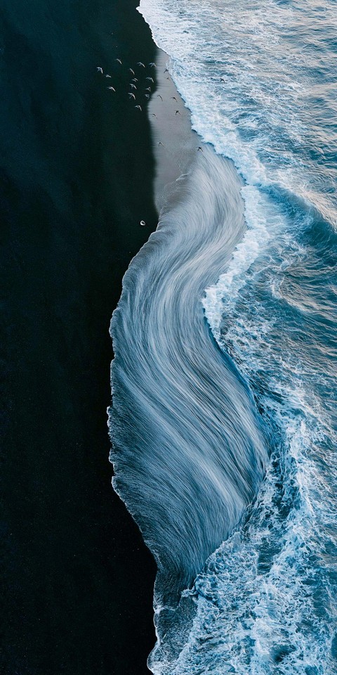 sea, pink wallpapers