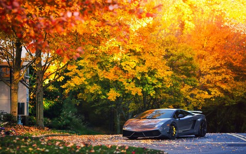 Lamborghini Gallardo Superleggera ＼(❤o❤)／