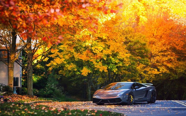 Lamborghini Gallardo Superleggera ＼(❤o❤)／