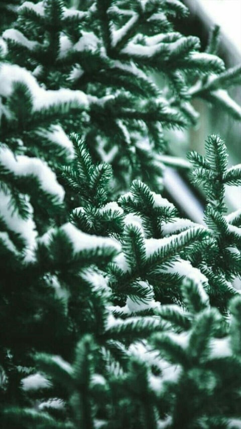 winter