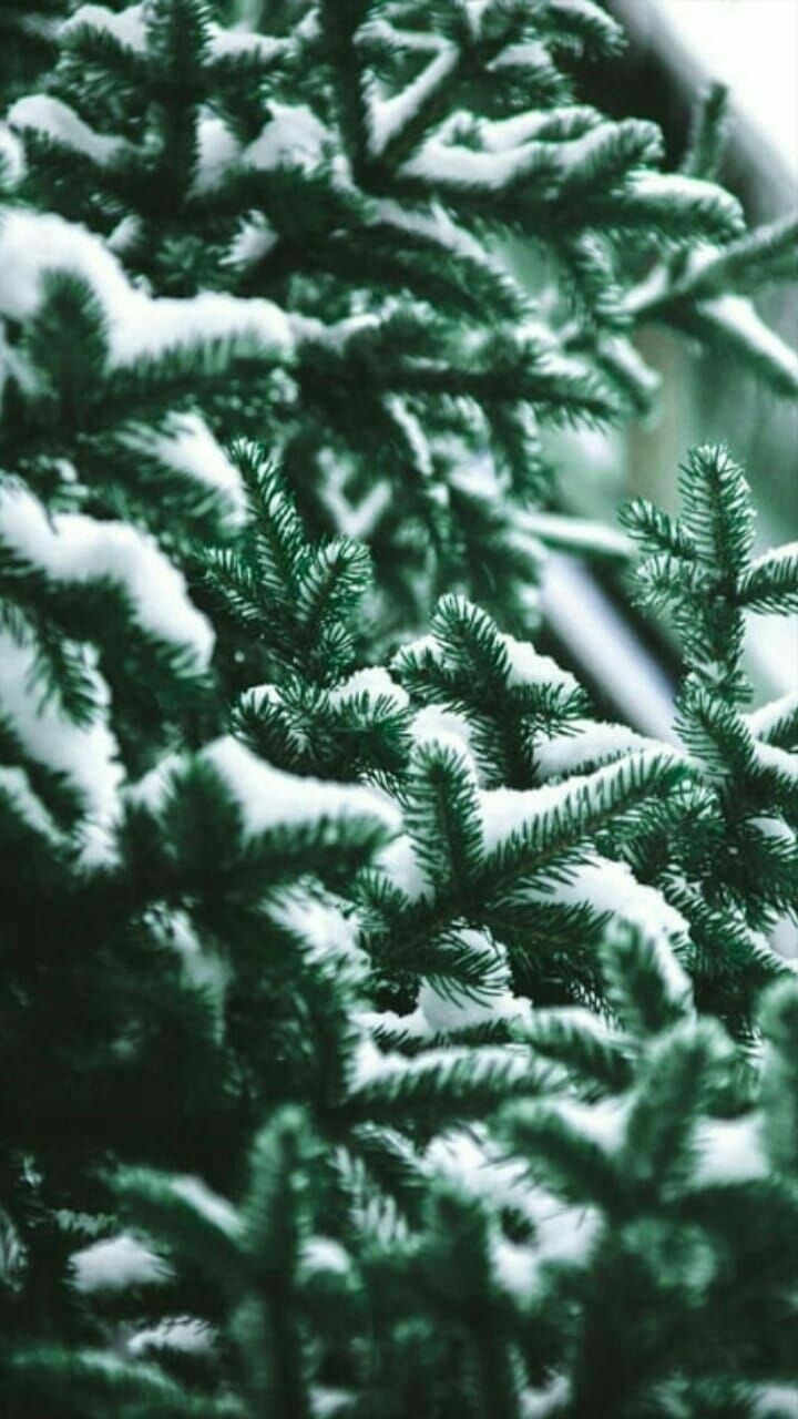 winter