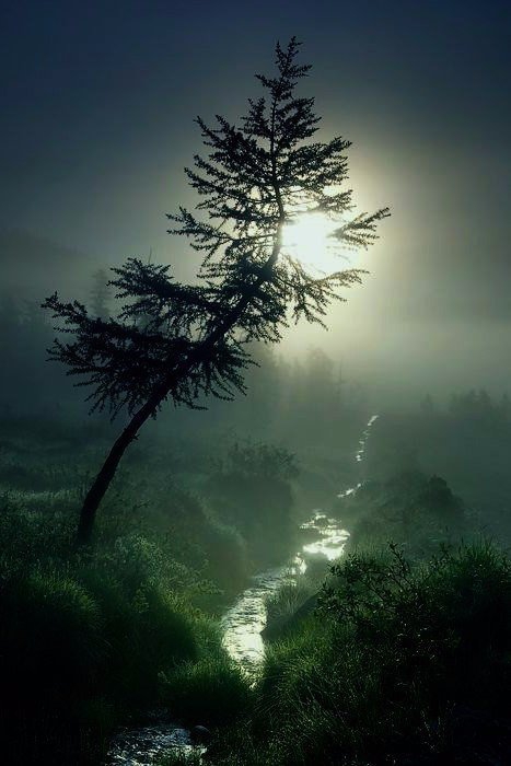 природа