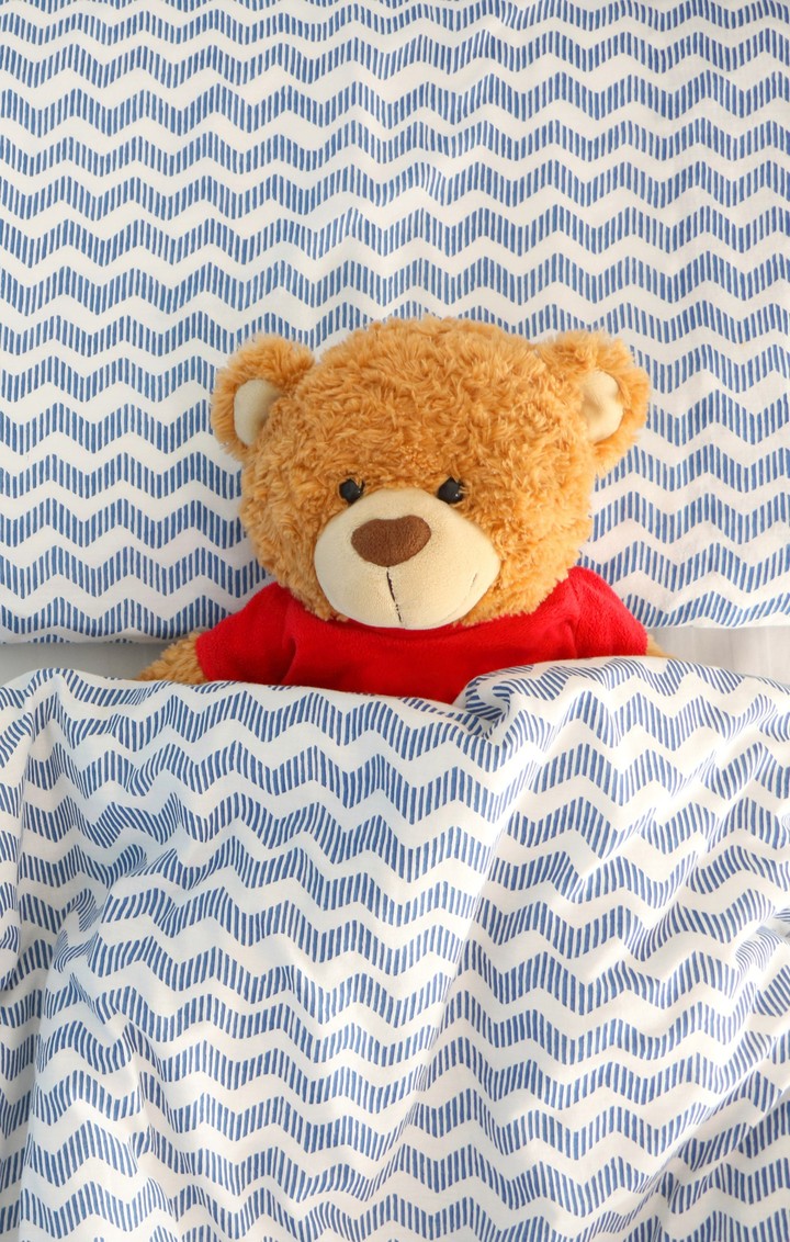 teddy