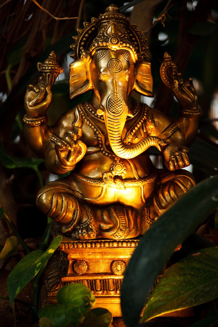 Bappa❤️❤️