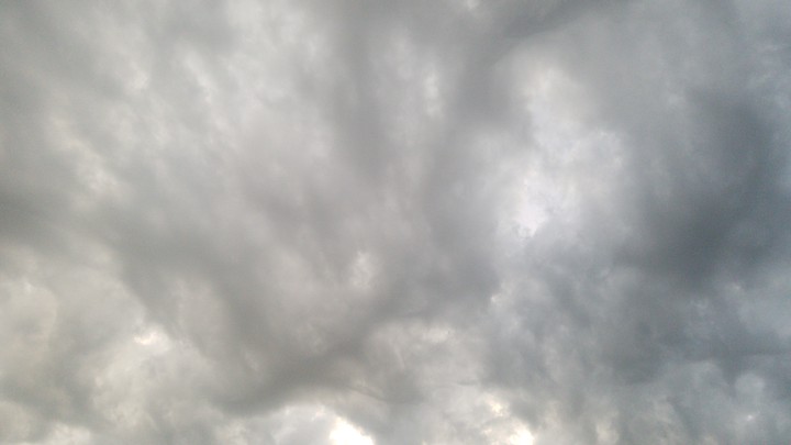 gris