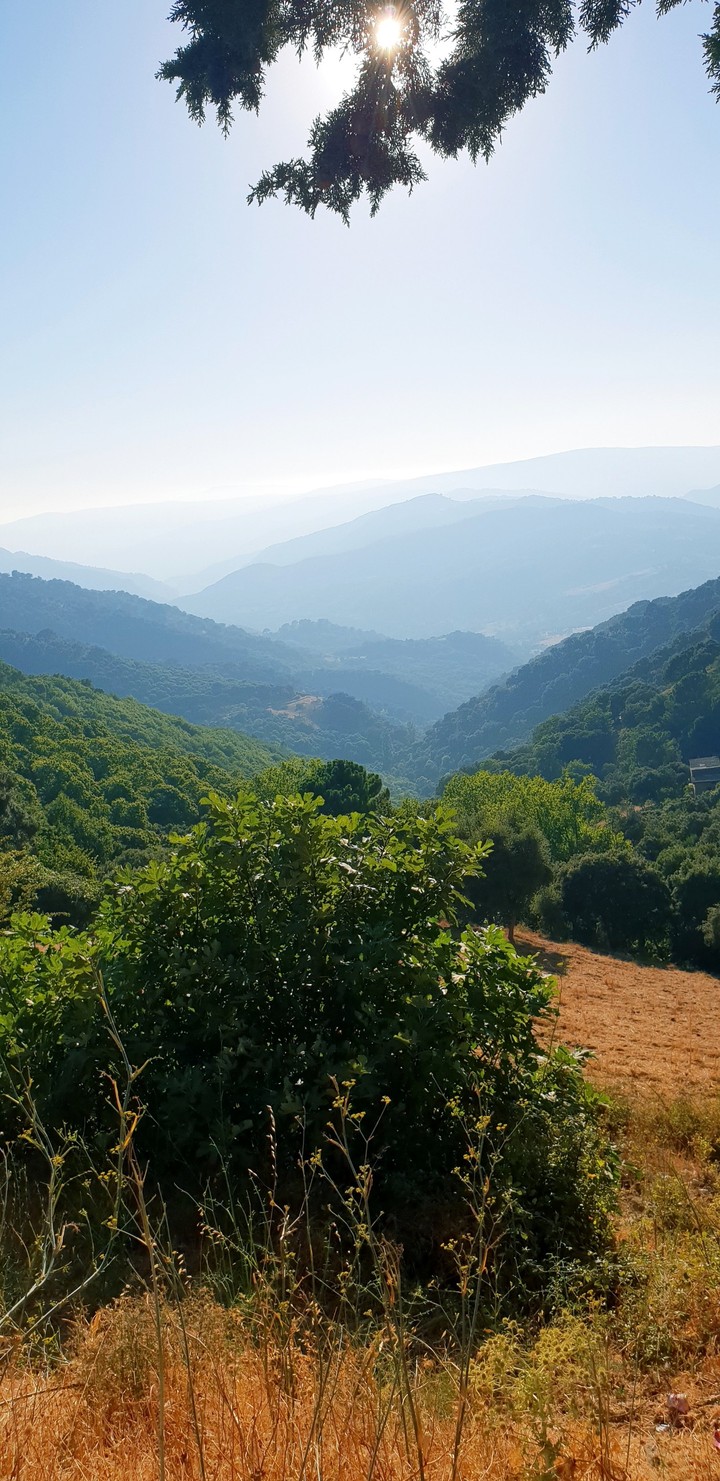 Nature in Spain