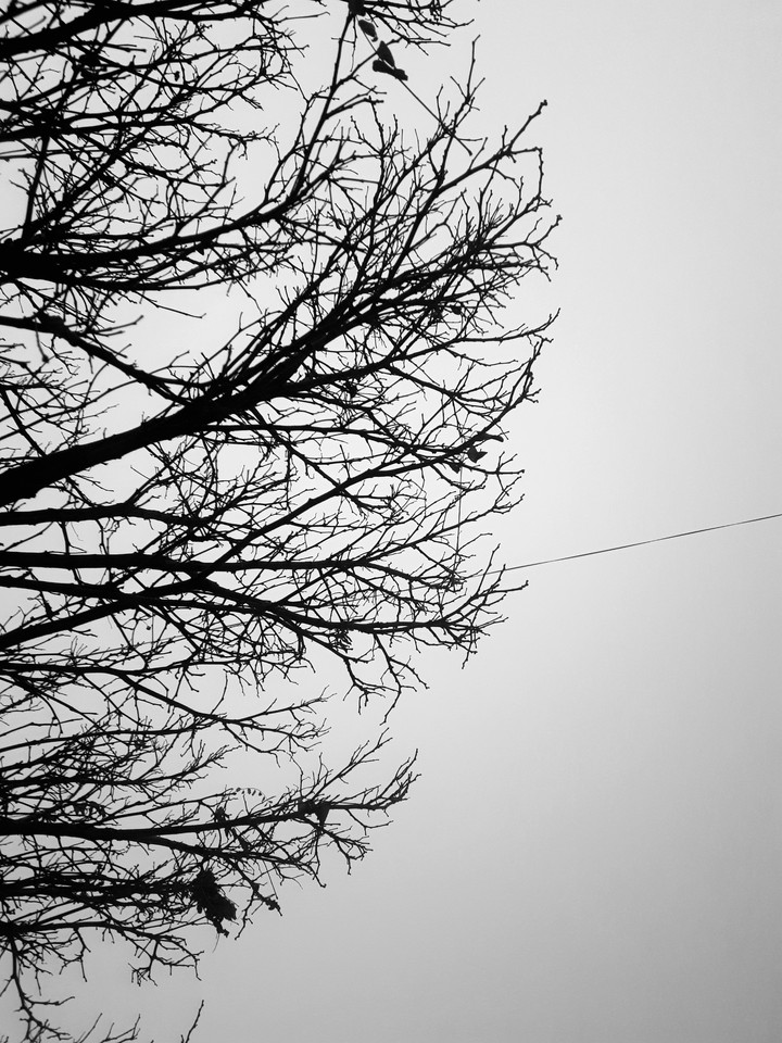 winter