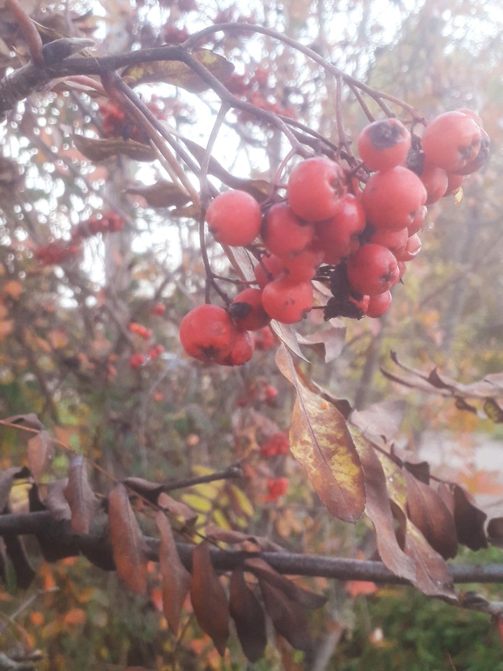 october