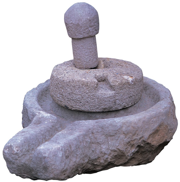 문화예술