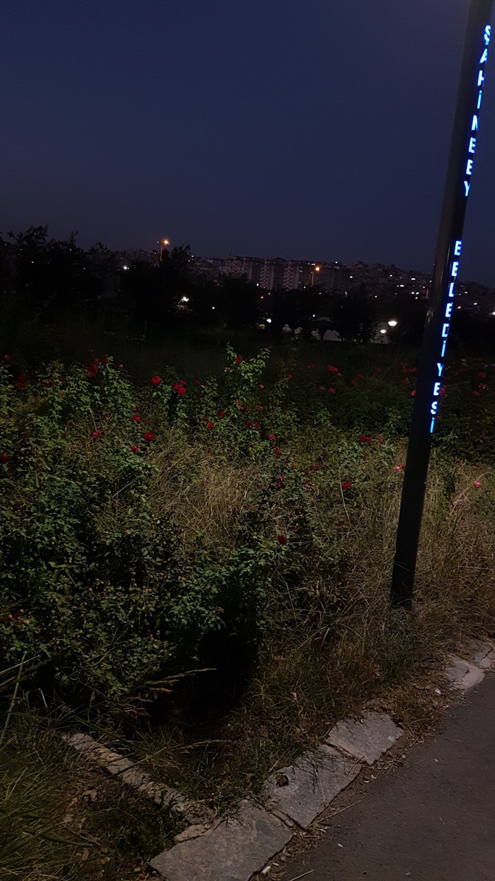 Gaziantep Yeşil Vadi Parkı