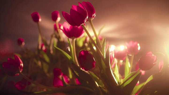 World of Flowers.
