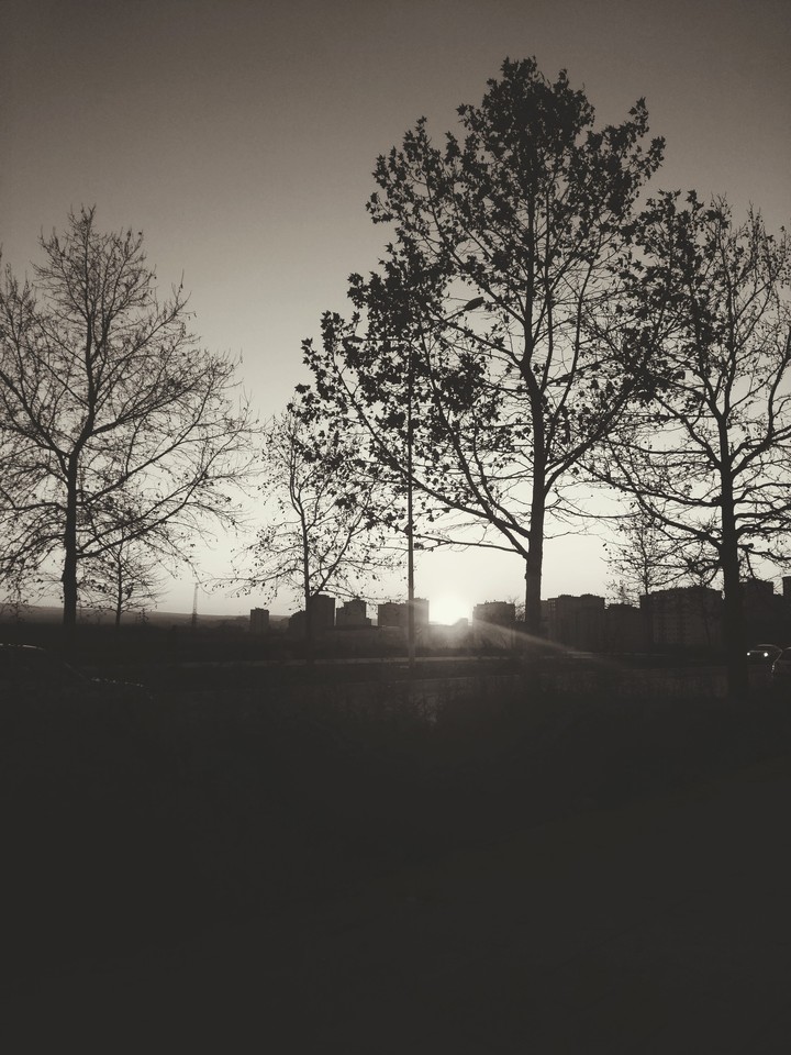 Dark