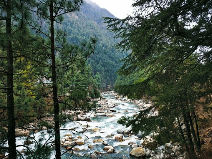 Kasol Diaries