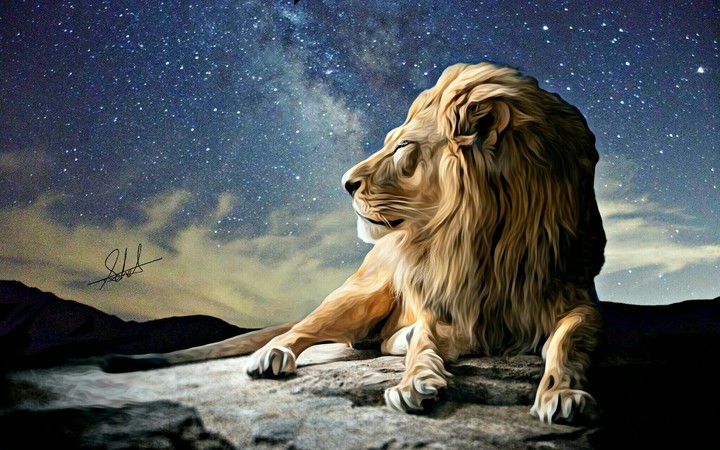 Decent Lion