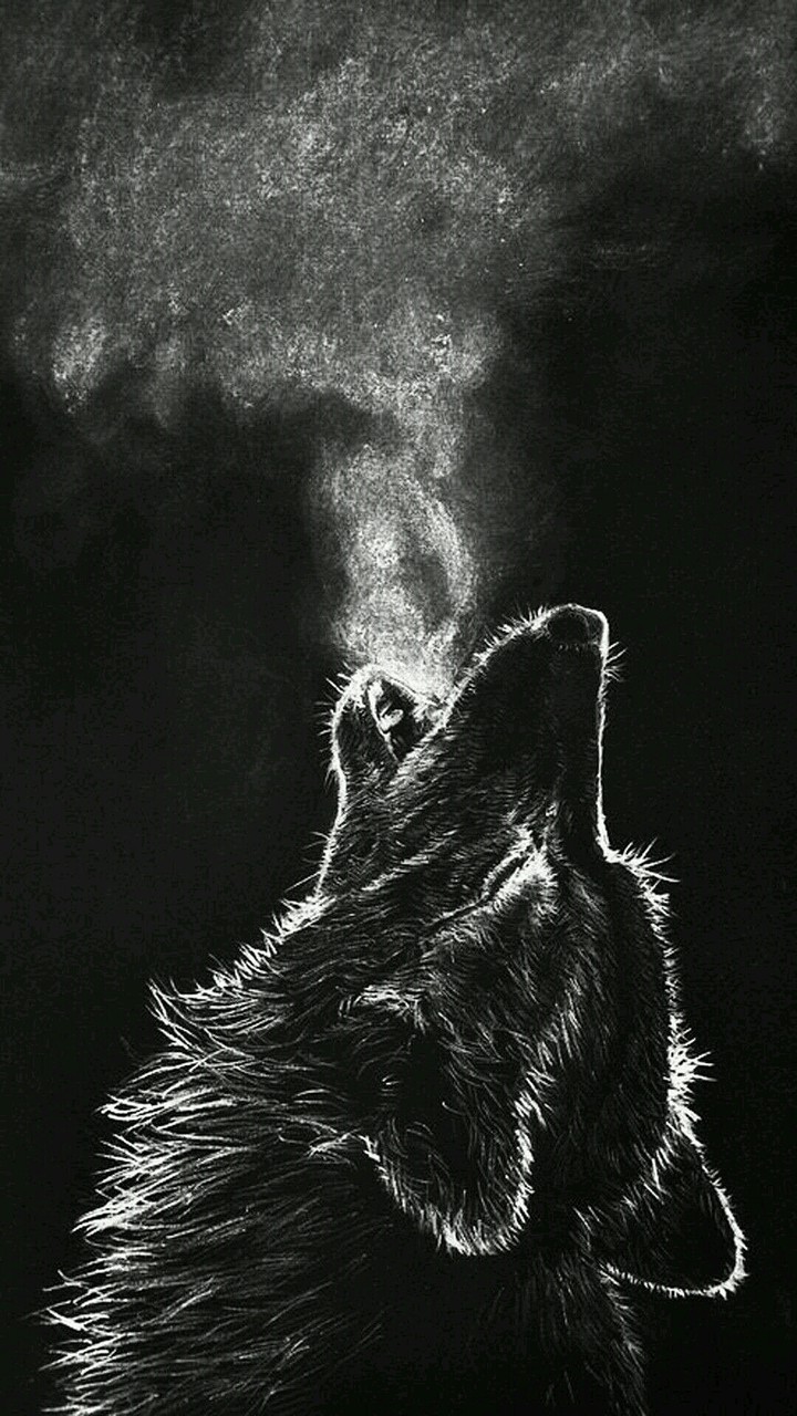 wilk