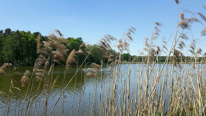 lake