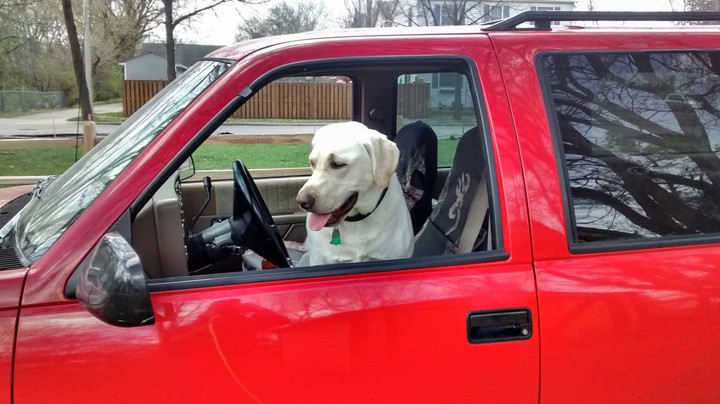 driving