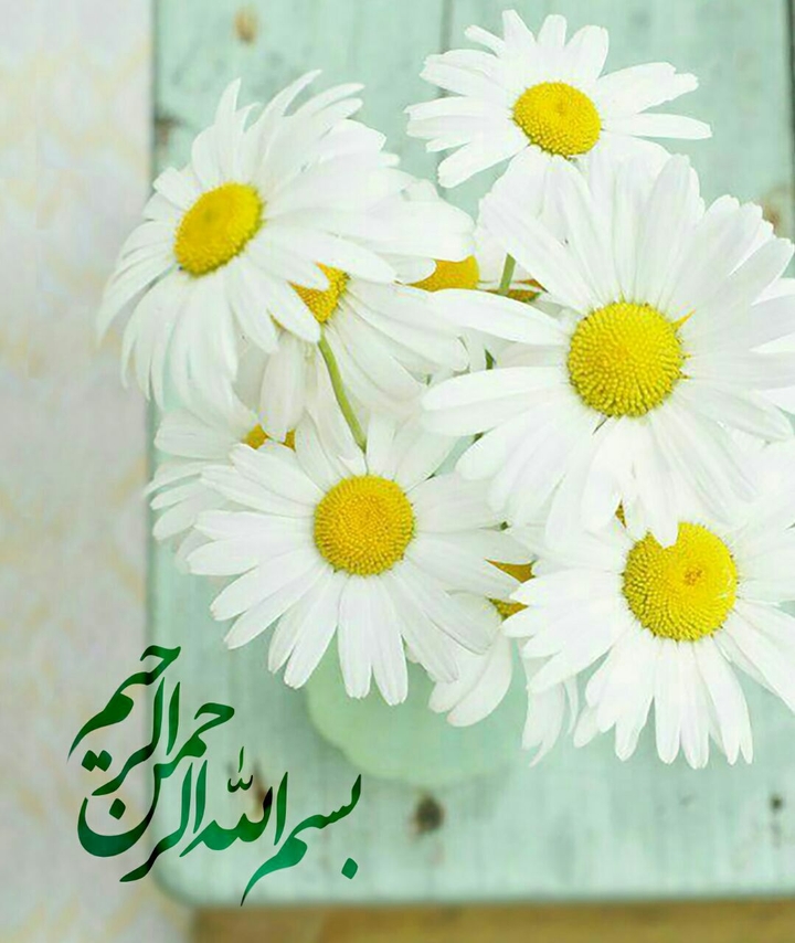 بسم الله الرحمن الرحیم