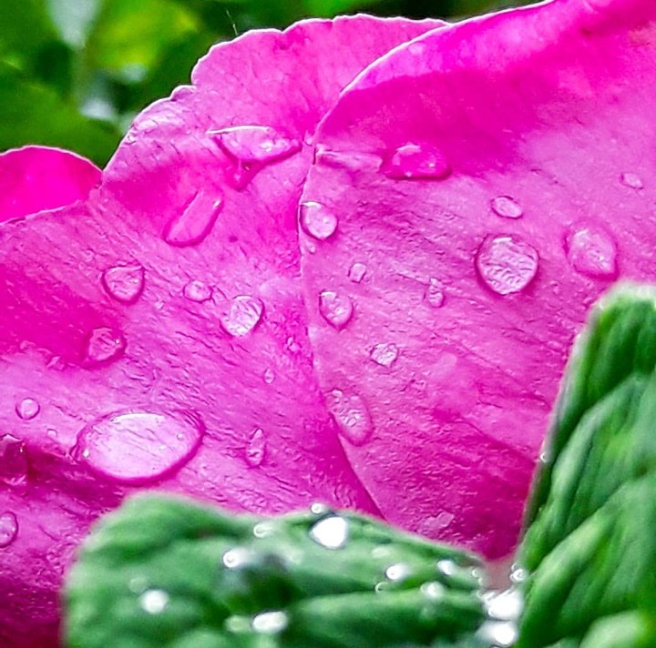 drop