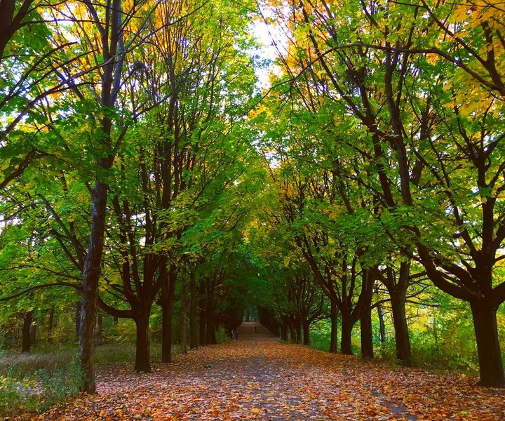 autumn
