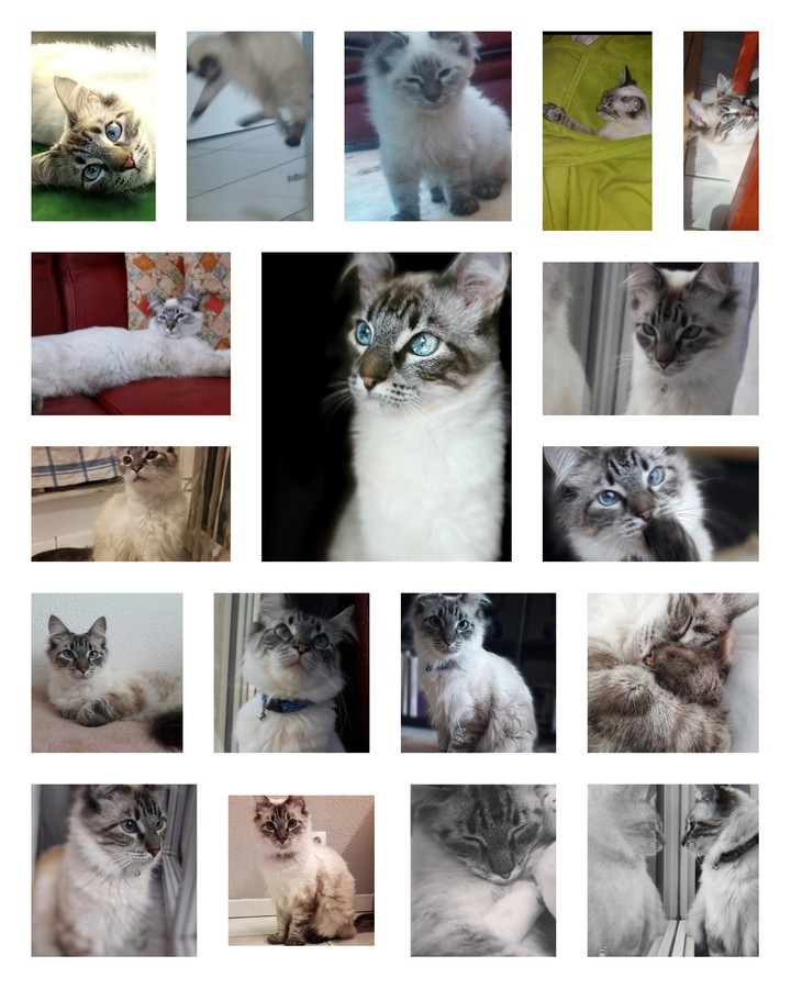 fluffy