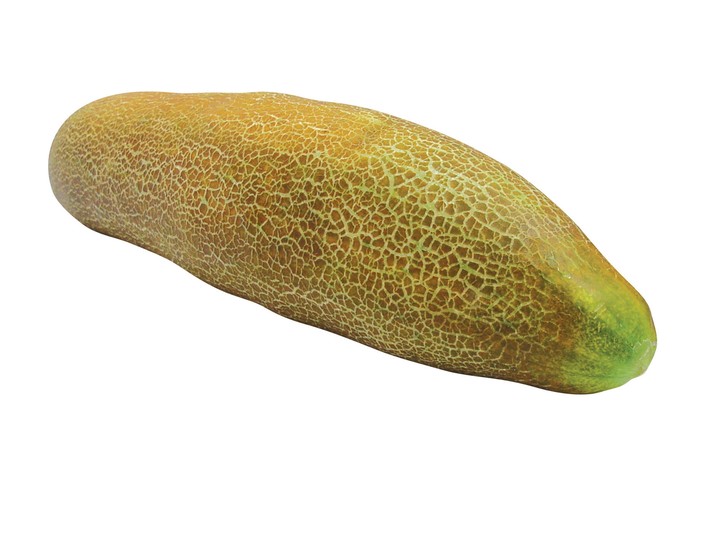 음식이미지