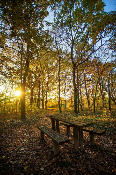 Autumn Hungary