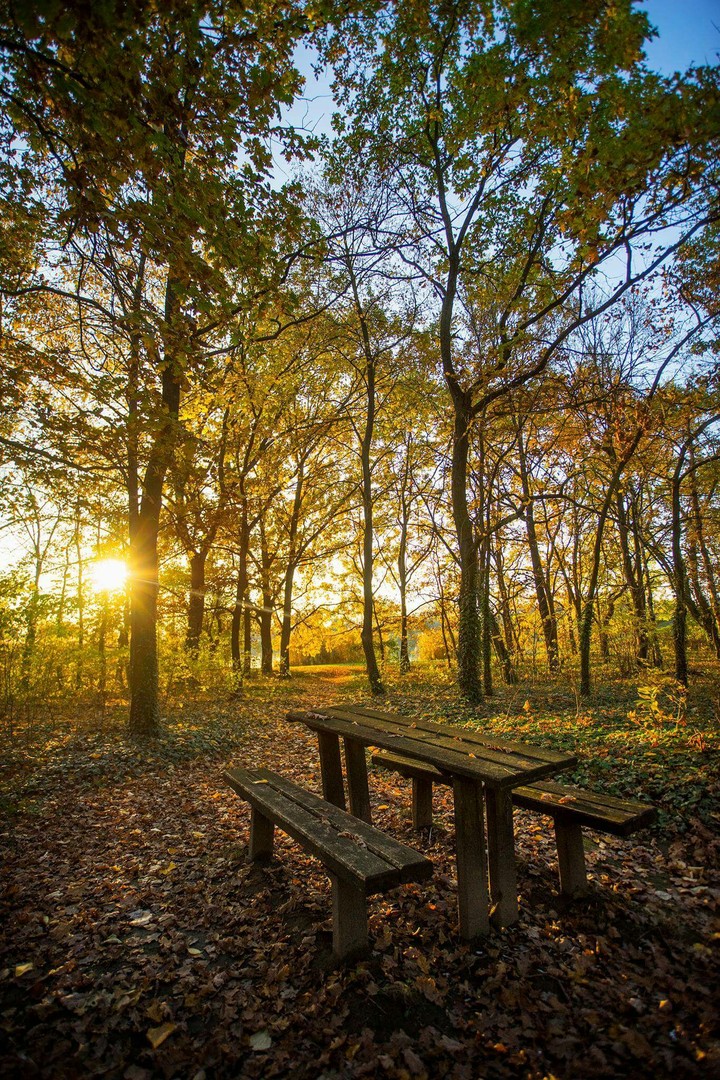 Autumn Hungary