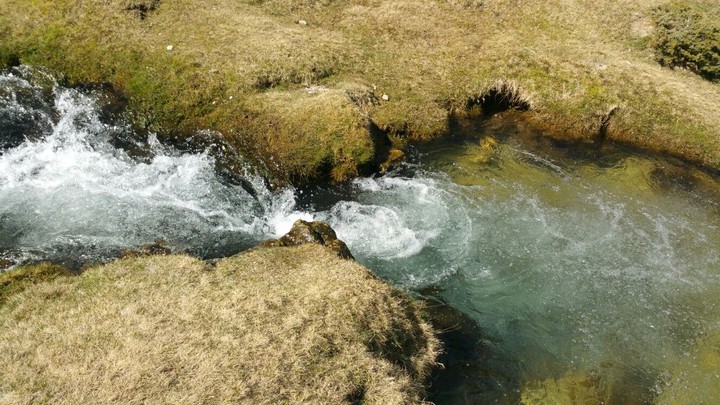 Freshwater