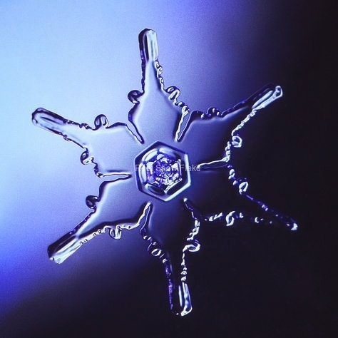 snow